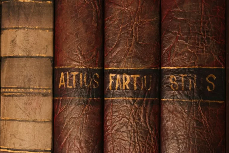 Bibliographic Description of Antiquarian Books: Standards, Conventions, and What They Convey