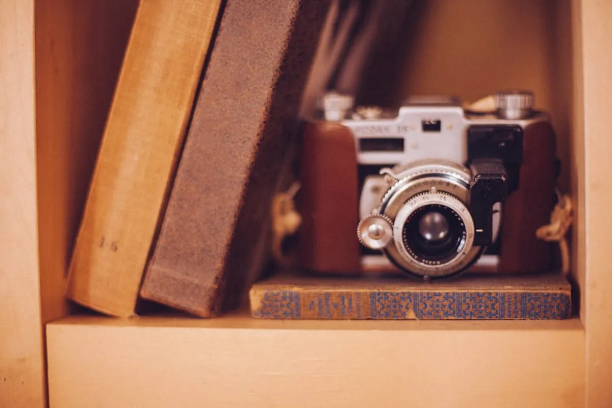 Antique Books: Beginner Guide