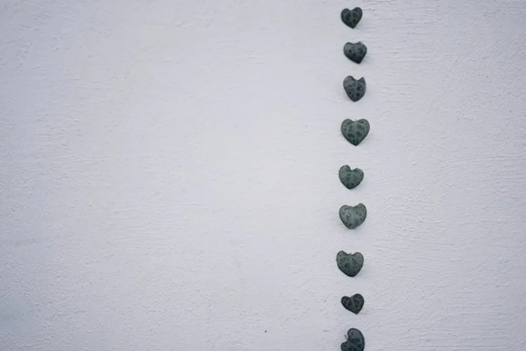 What does a white heart mean: Meaning, Examples, Synonyms, and How to Use It